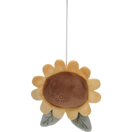 Carusel muzical Fermă