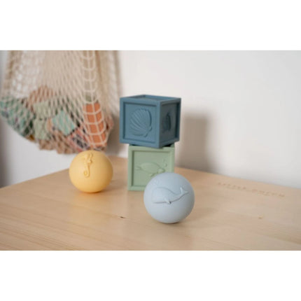 Set de cuburi și mingi Ocean